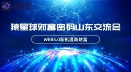 猿星球创始人梁教练山东交流会介绍平台及未来规划_元宇宙:LDO