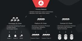 Avalanche 角度,看从二线公链竞争_TPS:CEO