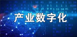 “无双数科”推动产业数字化进程_MOON:Paypex