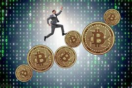 你凭什么是“韭菜”？_BTC:USDT