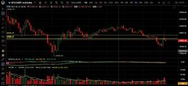 7.1强势拉升迅速回落 再显画门风波_ZEC:bzbcoin