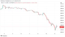 由于“致命”蜡烛清算了 12 亿美元BTC 价格暴跌_FIL:catecoin币最新消息