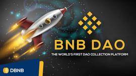 全球首款DAO集合平台-BNB Dao_NFT:BNBD币