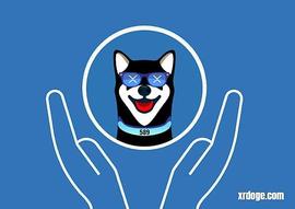 XRDoge 宣布开启绿色环保项目并推出新硬件设备XR589钳形表_XRD:DOGE