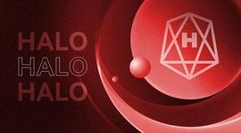 HALO Network生态发展年度总结：筑梦远航 加速数字金融落地应用_LON:ONE