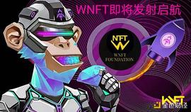 WNFT发射將于1月13日登上Pink（粉红预售平台）_API:Vital Ethereum