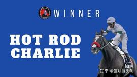 AVAX上首个竞技类游戏HorseRacingWinner来袭，盲盒抢马热度超ZED RUN？_NFT:HOR