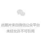 区块链+大数据  探索数据使用的边界_区块链:PARA