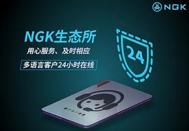 2021 NGK生态所体验好、交易快 引人注目!_NGK:okex数字资产交易平台