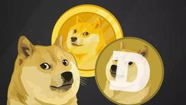 一天最高涨10倍，DOGE币一夜登上微博推特热搜_加密货币:Doge of WallStreetBets