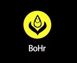 BoHr手机钱包白名单到底是什么？_Bohr:OWN