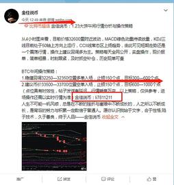 金佳说币：1.23大饼午间多单完美走出--后续操作策略：_BTC:btceasypay