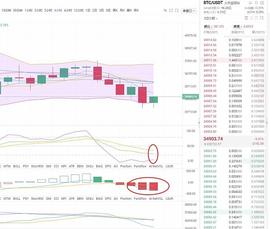 磊哥说币：1.20晚间分析_BTC:btc最新消息今天