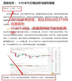 亮哥论币：01/19 比特币精准布局 多单斩获1124个点位_OIN:Swapcoinz