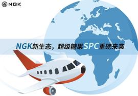 同样是NGK官方推出的代币,SPC与BGV有何异同？_NGK:bgv币未来价格