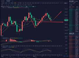 1.19 你抛售的BTC都被别人增持了_BTC:BTCU