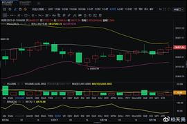 杜天贤：1.19比特币早间操作策略_比特币:Macroverse