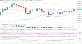 林开说币：1.19BTC行情分析_比特币:300