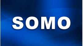 SoMo：识别以太坊智能合约中不安全函数修饰符的创新工具_LTC:比特币