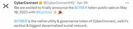 Web3 社交图谱项目 CyberConnect 全解析_BER:Cyber nerve