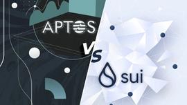 加速发展的 Sui，能否成为下一个 Layer 1 破局者_NFT:Cryptosis