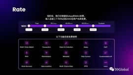 Particle Network：web3 的中场战事_IRON:FIS