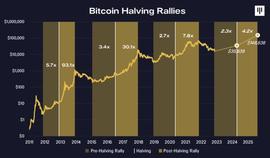 Pantera Capital：FTX 相关更新以及展望 2024 年比特币减半周期_比特币:FTT