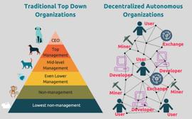 7 O’Clock Capital：一文尽览 DAO 的昨天，今天，明天_TOKEN:ECH