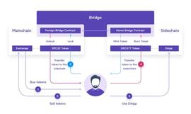 一文解析 Tokenbridge 价值传输_DGE:BRI