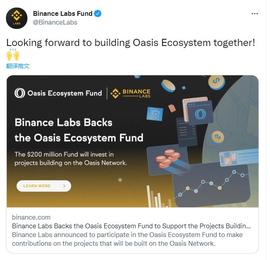 隐私计算网络 Oasis 获 Binance Labs 4000 万美元支持，将用于生态发展及项目孵化_IBL:OASIS
