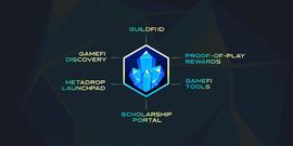 Hashed：为什么我们要投资Web3游戏社区GuildFi？_GUILD:GoldFinX