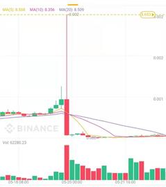 彭博社调查：币安杠杆代币因519暴跌引起大量用户质疑_PET:加密货币
