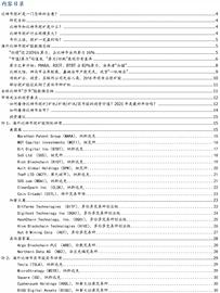 全景式解析全球比特币挖矿概念股_AMM:区块链