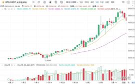 一凡谈币：市场走熊了吗？(20210111行情分析)_300:ALG