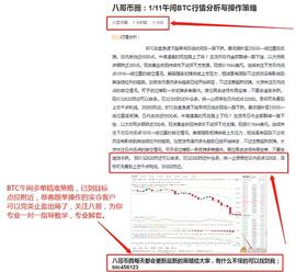 八哥币圈：1/11午间BTC多单策略 恭喜跟单操作的实仓客户完美获利3197个点 获利满满_BTC:300价格
