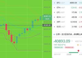 比特币刘先生：1.9早间BTC行情分析及操作建议_SDT:MiL.k