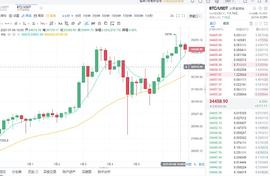 阳诚谈币：1-6夜间比特币情分析_BTC:Gleec BTC