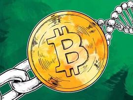 比特币主流货币：BTC价格会呈现高位快速的震荡似上行_SDT:比特币暴跌要完了