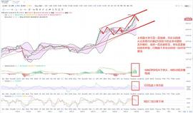 金鼎财金：12.28BTC凌晨行情分析（大饼回调结束  后续又将会持续一段震荡行情）_COIN:spectrecoin