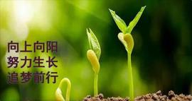 金圣来解币：12月27日行情分析：一个17万多比特币泡沫为何能越吹越大？_B2C:加密货币情感