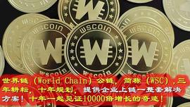 WSC世界链（公链） | 创业创新--四两拨千斤？_区块链:300
