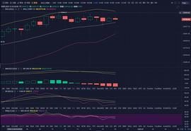 金融论币：12-26BTC晚间行情分析_MAC:什么是比特币现金