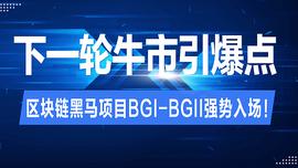下一轮牛市引爆点 | 区块链黑马项目BGI-BGII强势入场_数字货币:数字资产有哪些类型