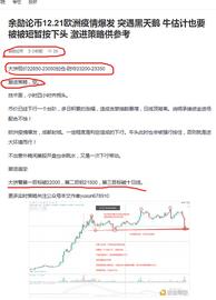 余勋论币12.21比特币激进空单止盈通知 拿下850点_LEC:lingose币是哪国的