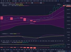 珊珊说币：大饼震荡上行 圣诞之前冲破3W关口？_BTC:520