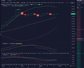 金融论币：12.19  BTC 晚间行情分析：_300:300
