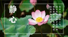 赚钱后的感悟 明天删_CHR:ETH