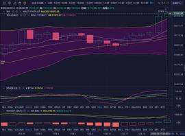 珊珊说币：大饼21910刷新历史 日内有望突破新高点？_BTC:MACPO价格