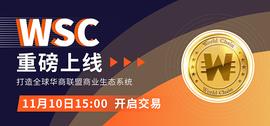普通投资者眼中的——世界链WSC_WSC:HKD.com DAO