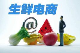 上海滩生鲜电商战鼓敲响 店宝宝：未来谁主沉浮？_: